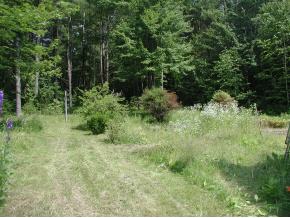 44 Whittemore Road Salisbury, NH 03268 - Photo 5 of 5