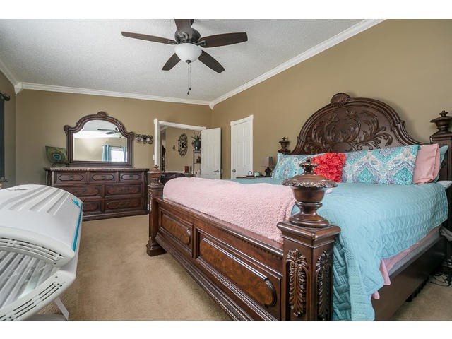 190 Cemetery Road Warrenville, SC 29851 - Photo 11 of 33 Gallery Image 11
