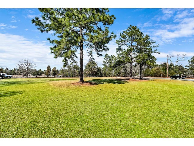 190 Cemetery Road Warrenville, SC 29851 - Photo 23 of 33 Gallery Image 23