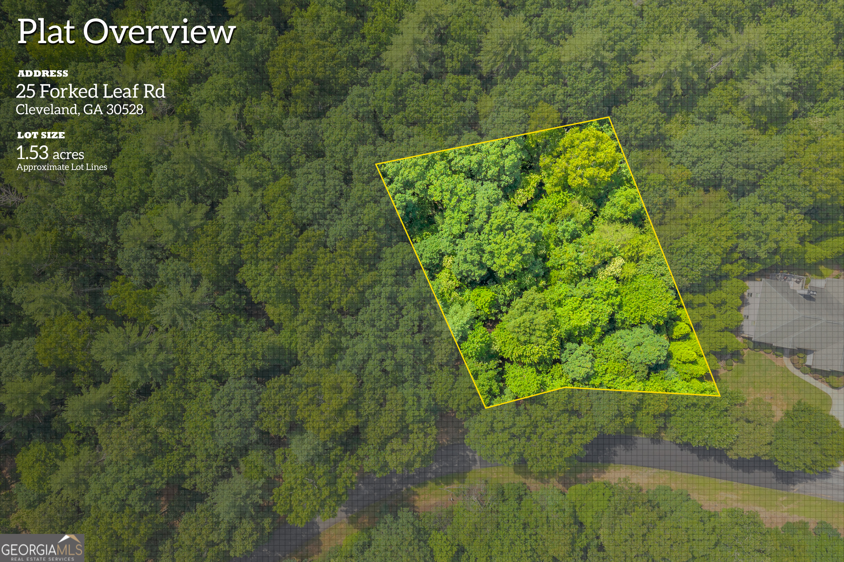 25 Forked Leaf Road Cleveland, GA 30528 - Photo 4 of 48