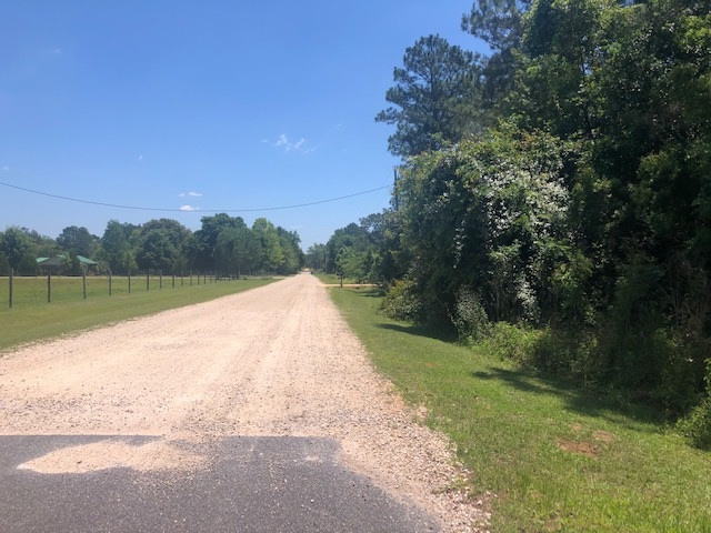 24756 South Rolling Green Road Elberta, AL 36530 - Photo 4 of 5