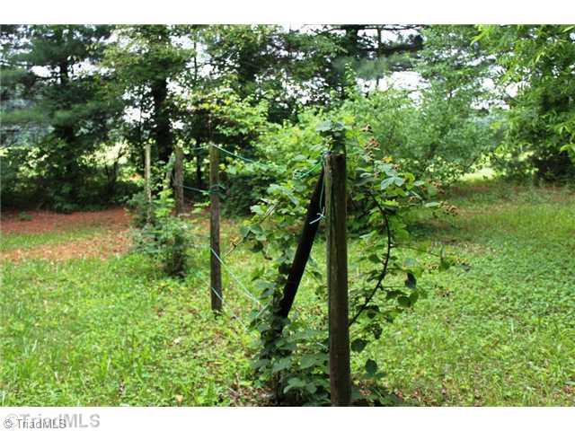 343 Beauchamp Road Advance, NC 27006 - Photo 5 of 5 Landscaping. Several fruit trees, thorn less black berry vines and an area for grape vines
