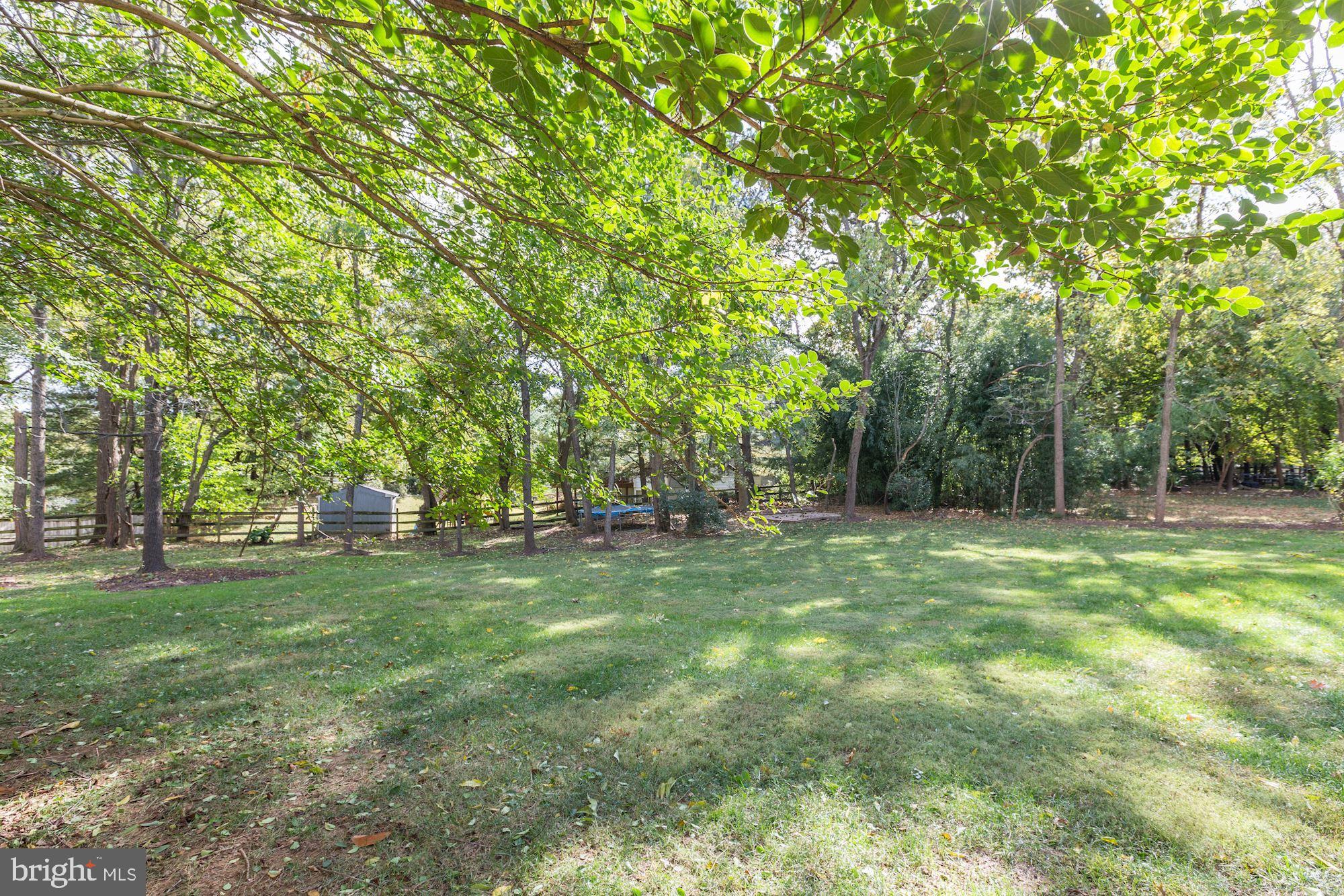 18815 Severn Road Gaithersburg, MD 20879 - Photo 37 of 38 View of the leveled, wooded back yard.