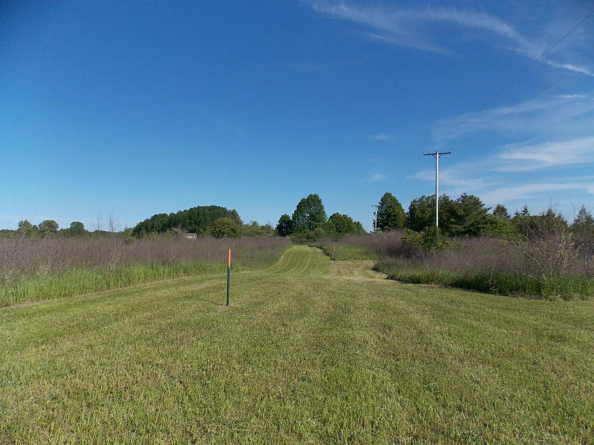 8491 North Black River Road Cheboygan, MI 49721 - Photo 22 of 22 Gallery Image 22
