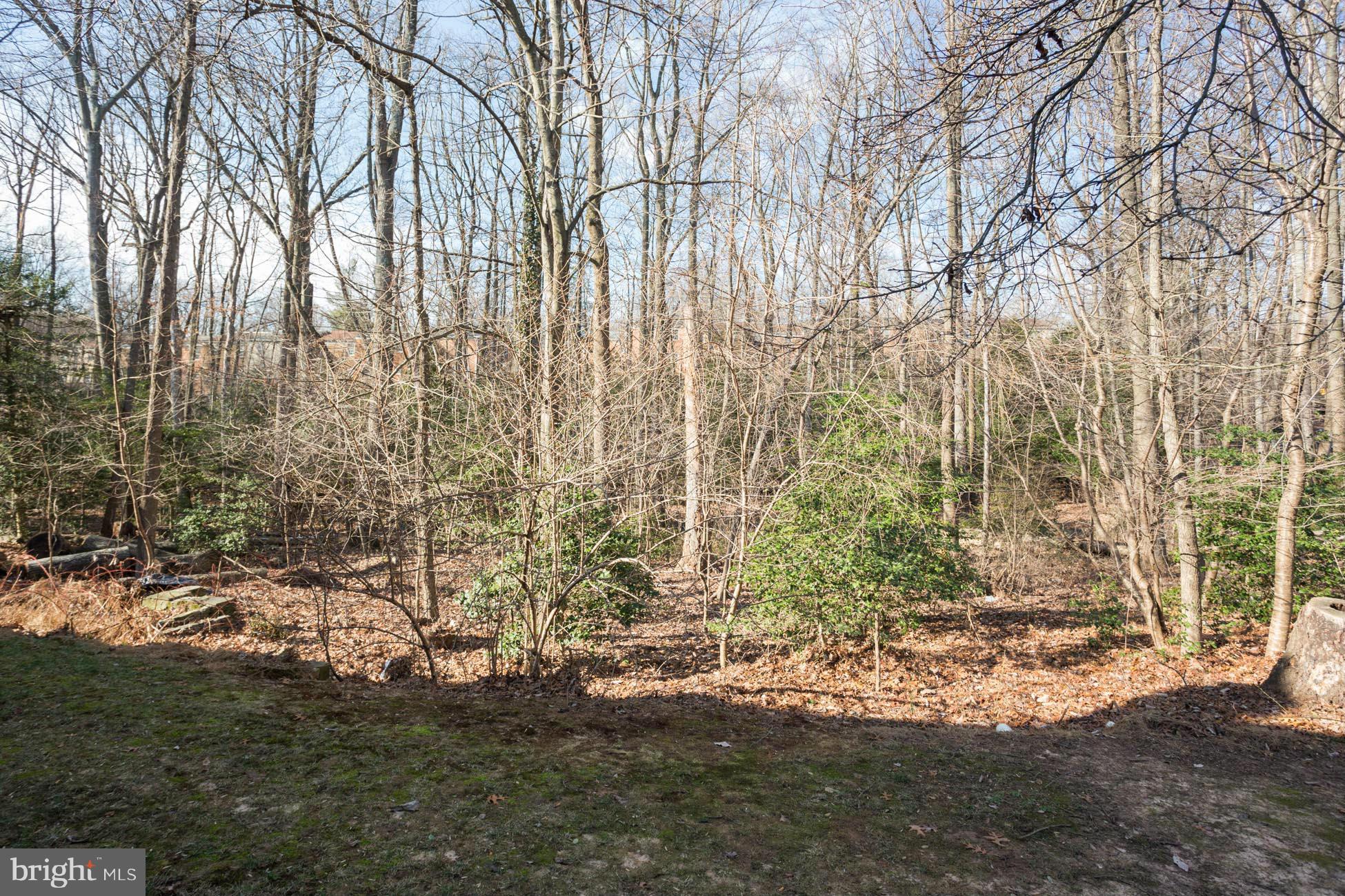 2214 Wheelwright Court Reston, VA 20191 - Photo 22 of 25 View