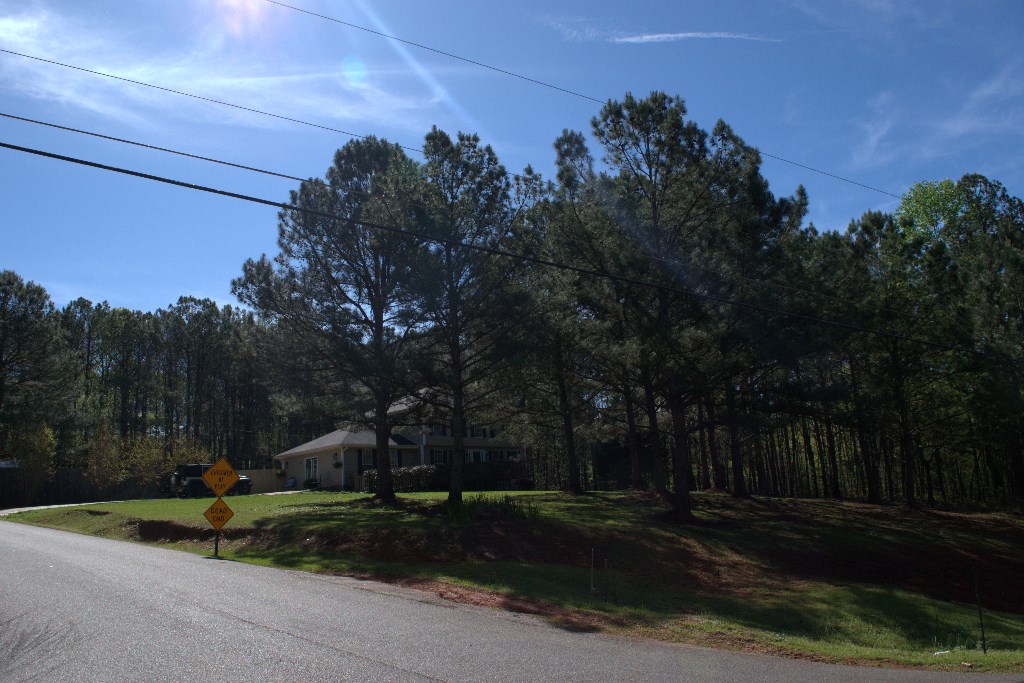 Lot 10 Chestnut Grove Road Shiloh, GA 31826 - Photo 17 of 17 Gallery Image 17