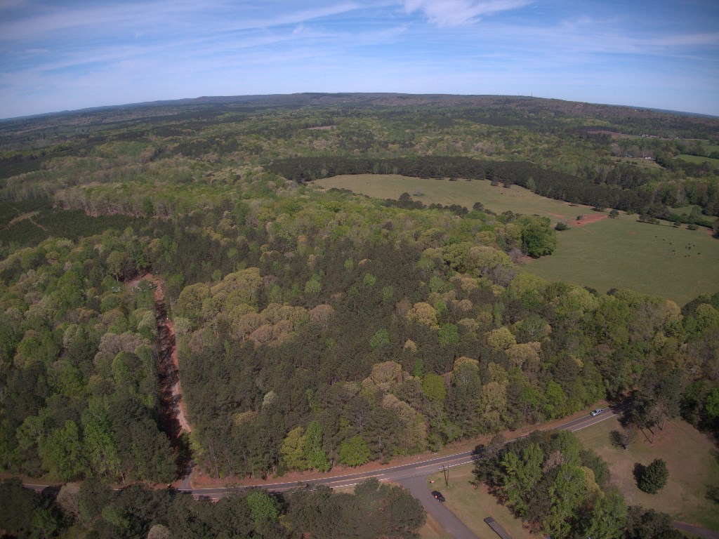 Lot 10 Chestnut Grove Road Shiloh, GA 31826 - Photo 8 of 17 Gallery Image 8