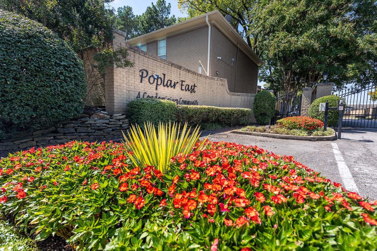 983 June Road, Unit 8 Memphis, TN 38119 - Photo 1 of 20 Gallery Image 1