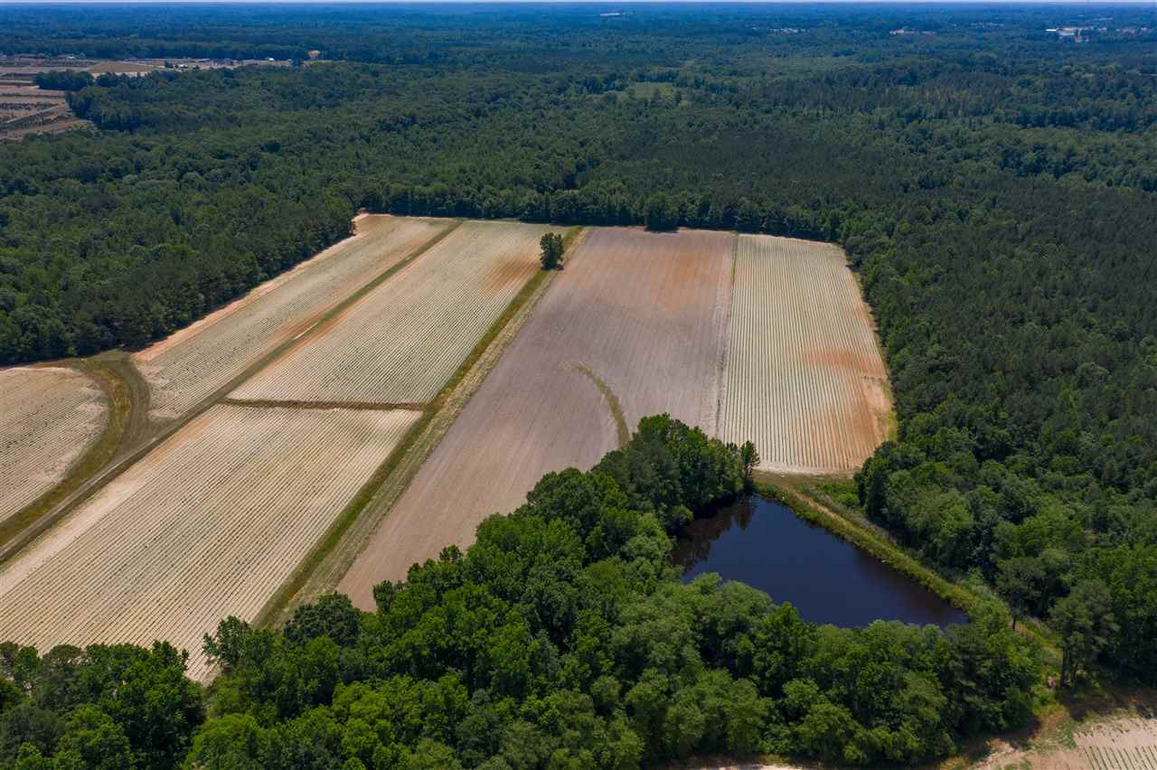 Jackson King Road Willow Spring, NC 27592 - Photo 6 of 18 Photo 6