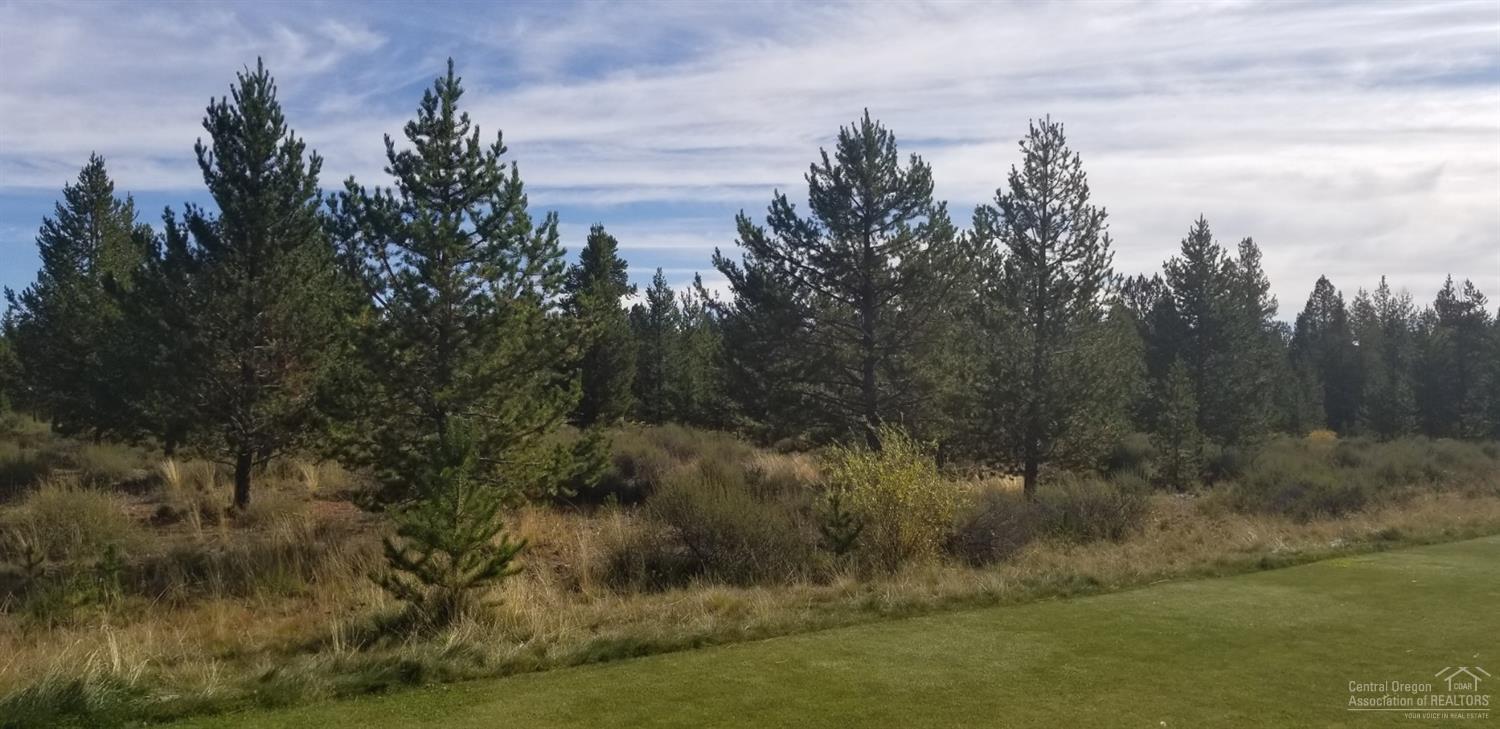 56517 Sunstone Loop Bend, OR 97707 - Photo 9 of 10 Additional Photo