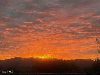 17958 East Cindercone Road Rio Verde, AZ 85263 - Photo 42 of 68 IMG_8127