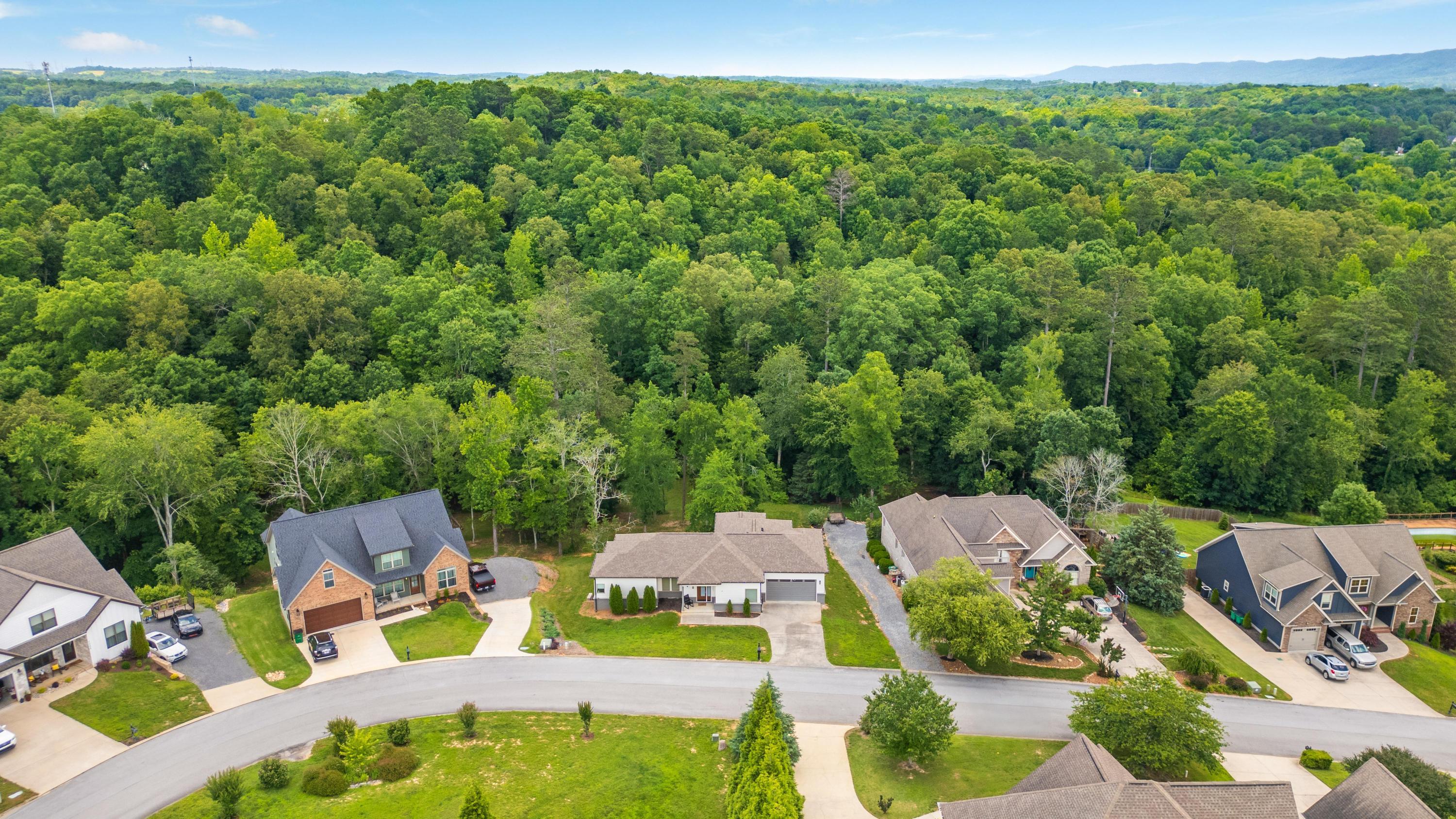 7367 Sweet Magnolia Lane Harrison, TN 37341 - Photo 8 of 43 2025_06_June_7367_Sweet_Magnolia_Ln_0007