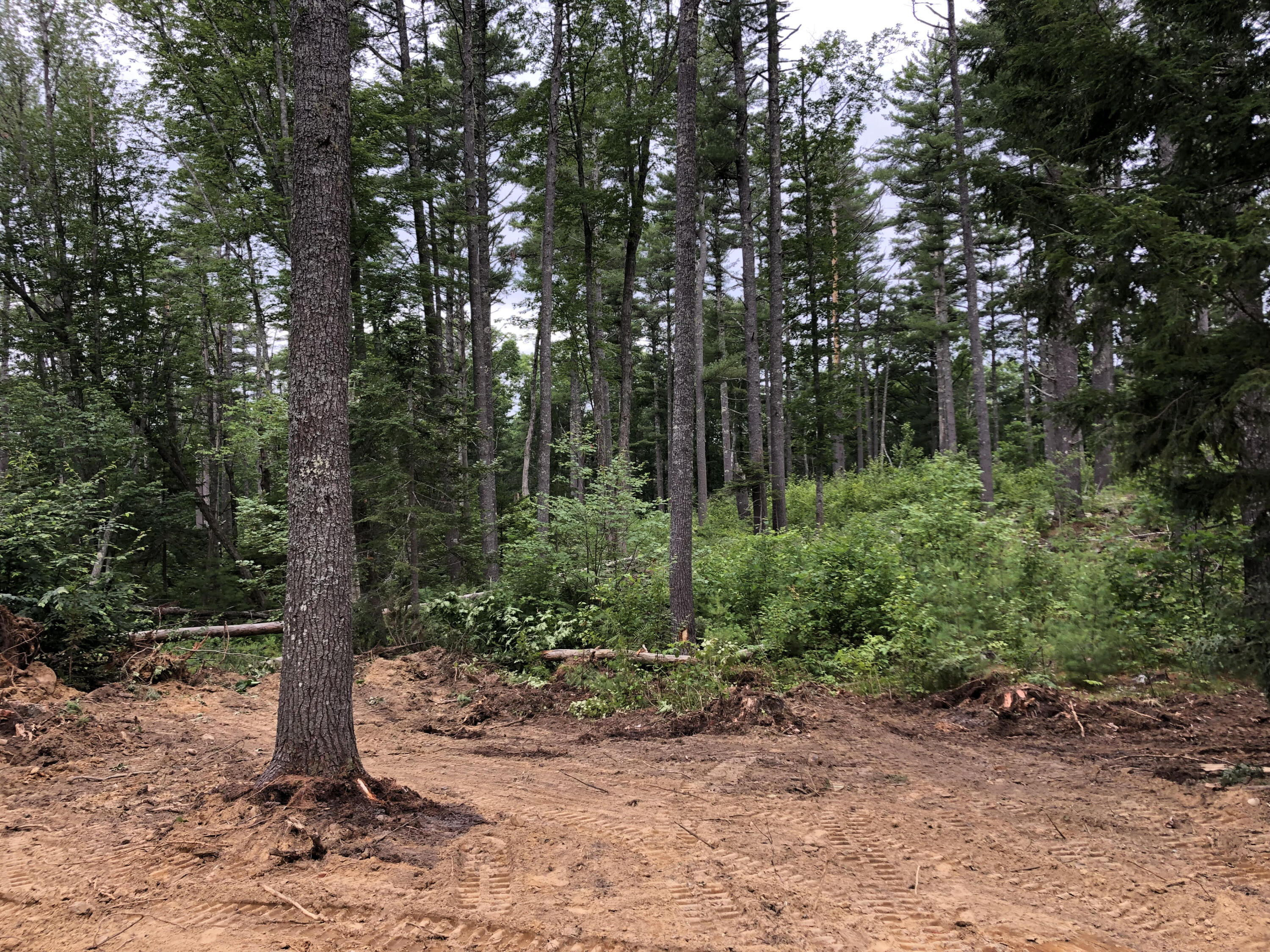 351 Lower Round Pond Road Bristol, ME 04539 - Photo 1 of 8 unnamed (1)