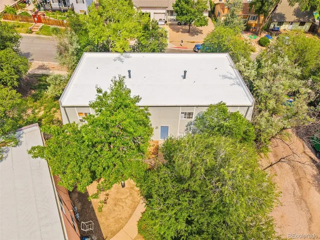 view of outdoor space with large trees