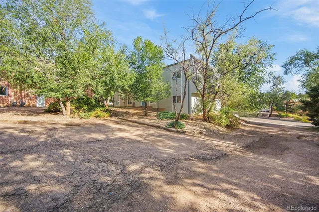 a view of road and trees