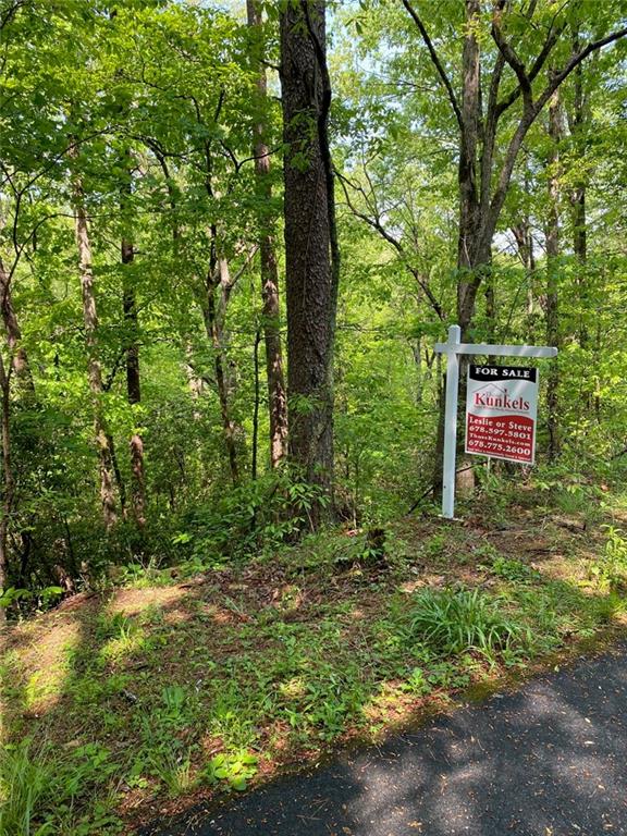 a view of a yard with plants and trees