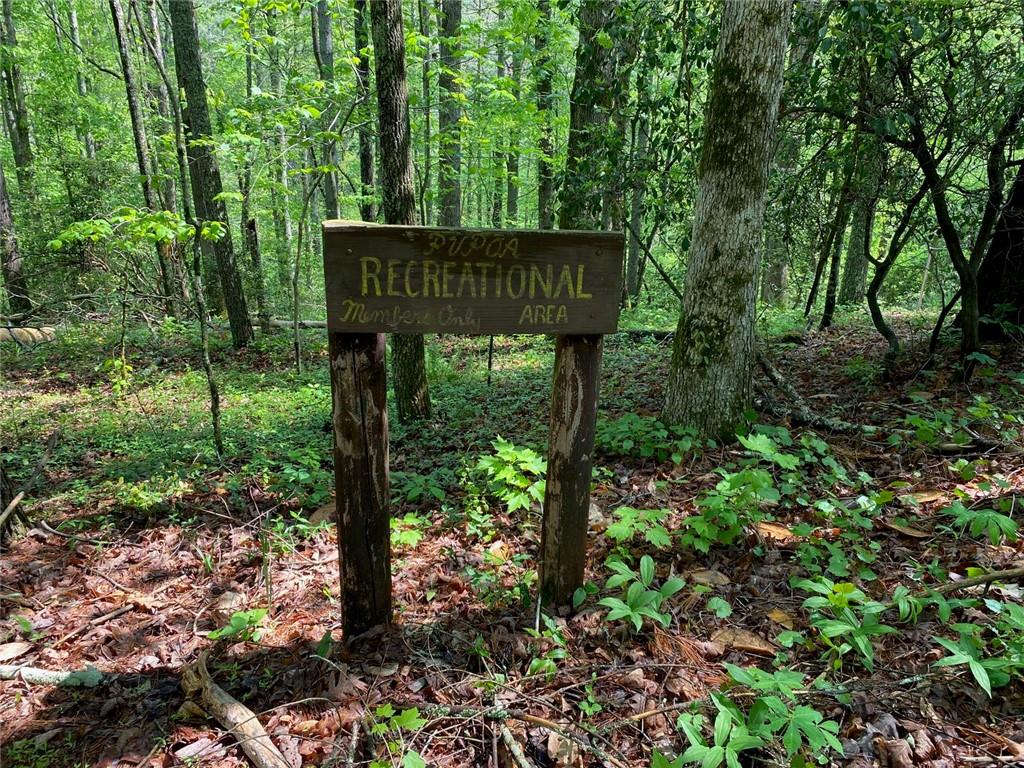 31 Valhalla Drive Cleveland, GA 30528 - Photo 2 of 3 a view of a back yard