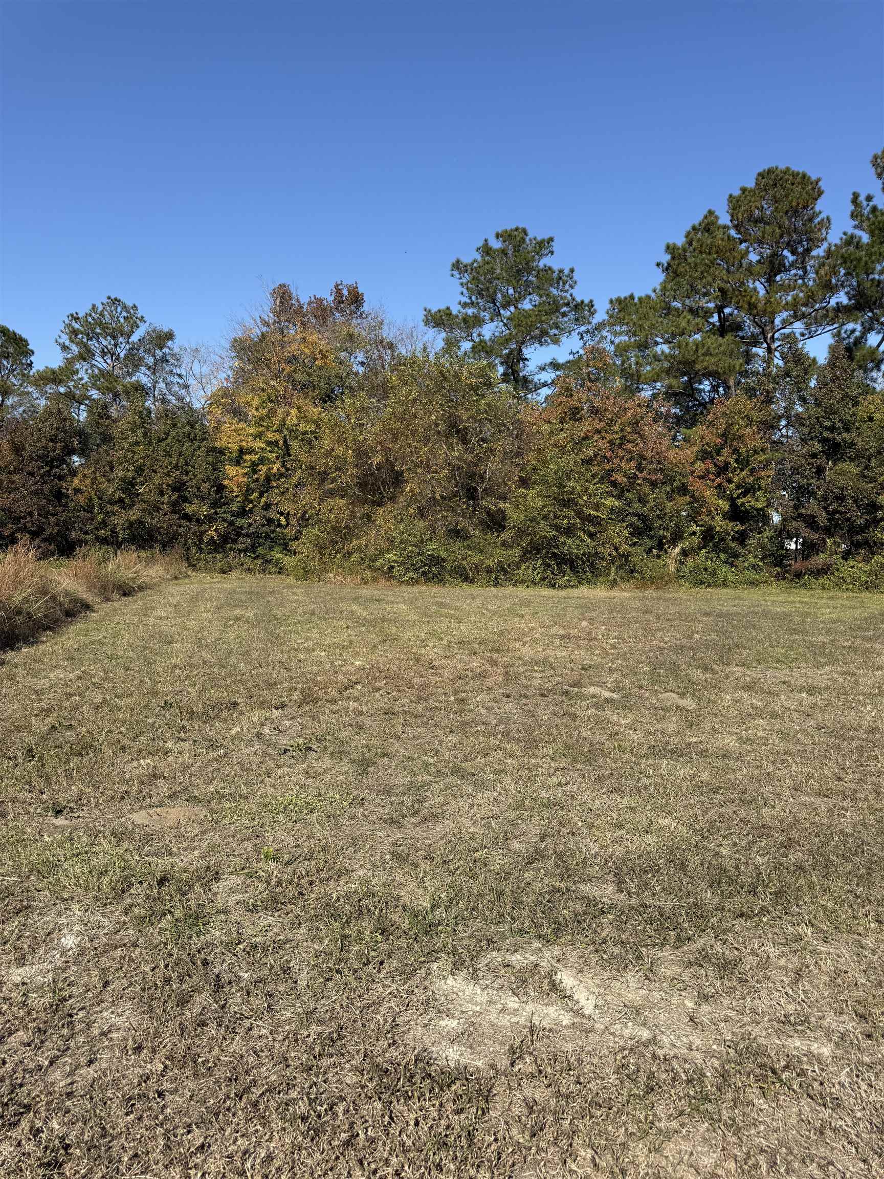 112 Quigley Place Aynor, SC 29544 - Photo 1 of 4