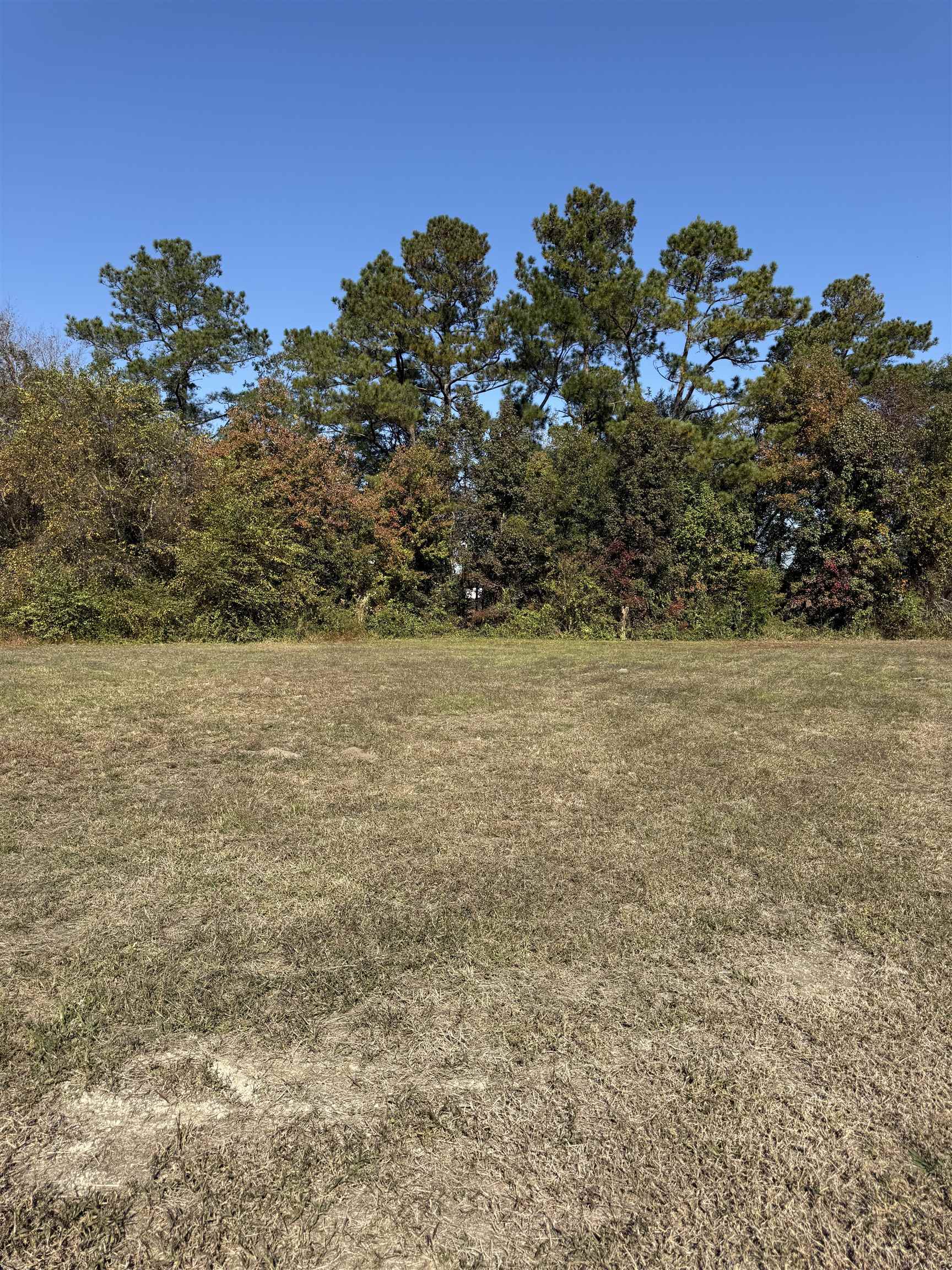 112 Quigley Place Aynor, SC 29544 - Photo 2 of 4