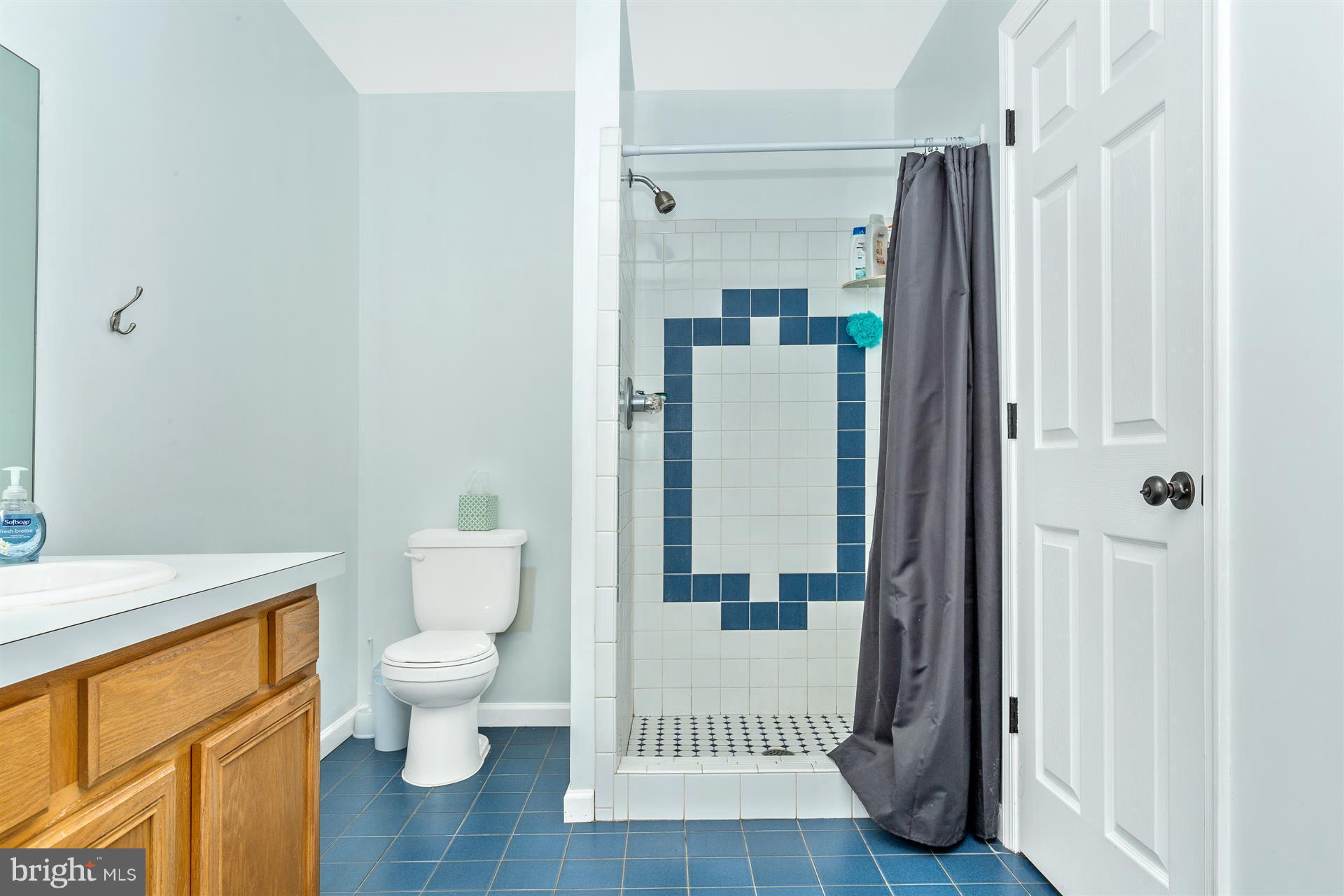 9277 Appolds Road Rocky Ridge, MD 21778 - Photo 19 of 30 Bath (Master)