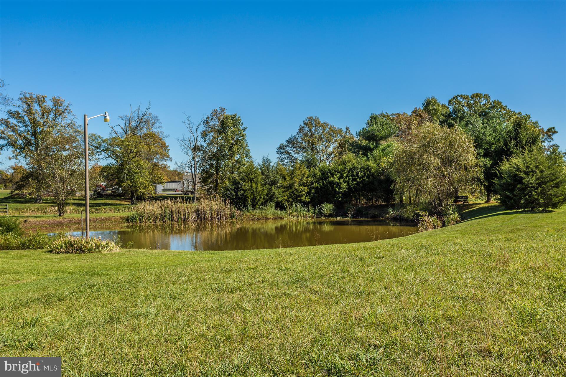 9277 Appolds Road Rocky Ridge, MD 21778 - Photo 26 of 30 Gorgeous pond with flood light