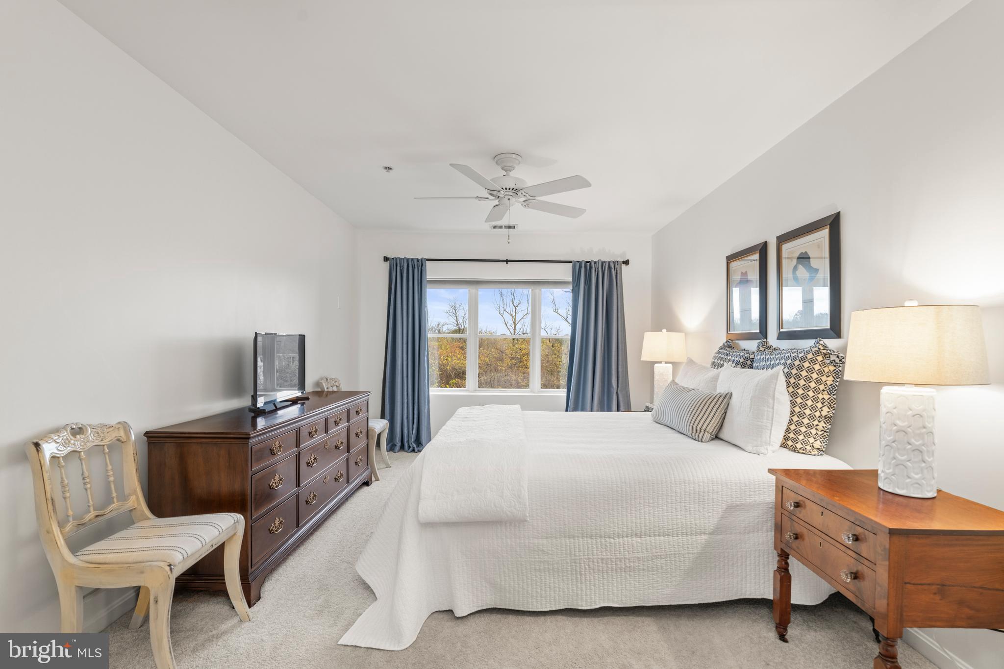 12246 Roundwood Road, Unit 507 Lutherville-Timonium, MD 21093 - Photo 29 of 58 Large Primary Bedroom with Ugraded Carpet