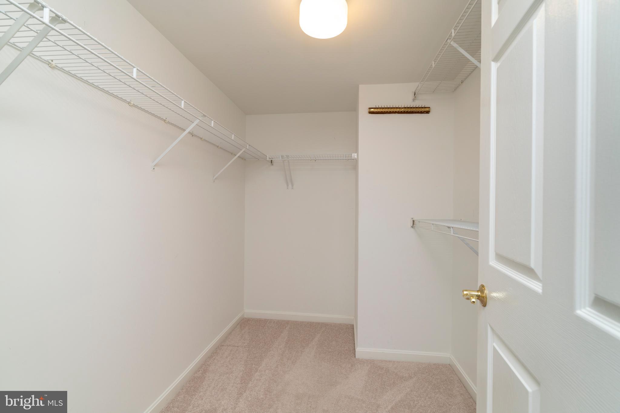 12246 Roundwood Road, Unit 507 Lutherville-Timonium, MD 21093 - Photo 35 of 58 Large Carpeted Walk-in Closet