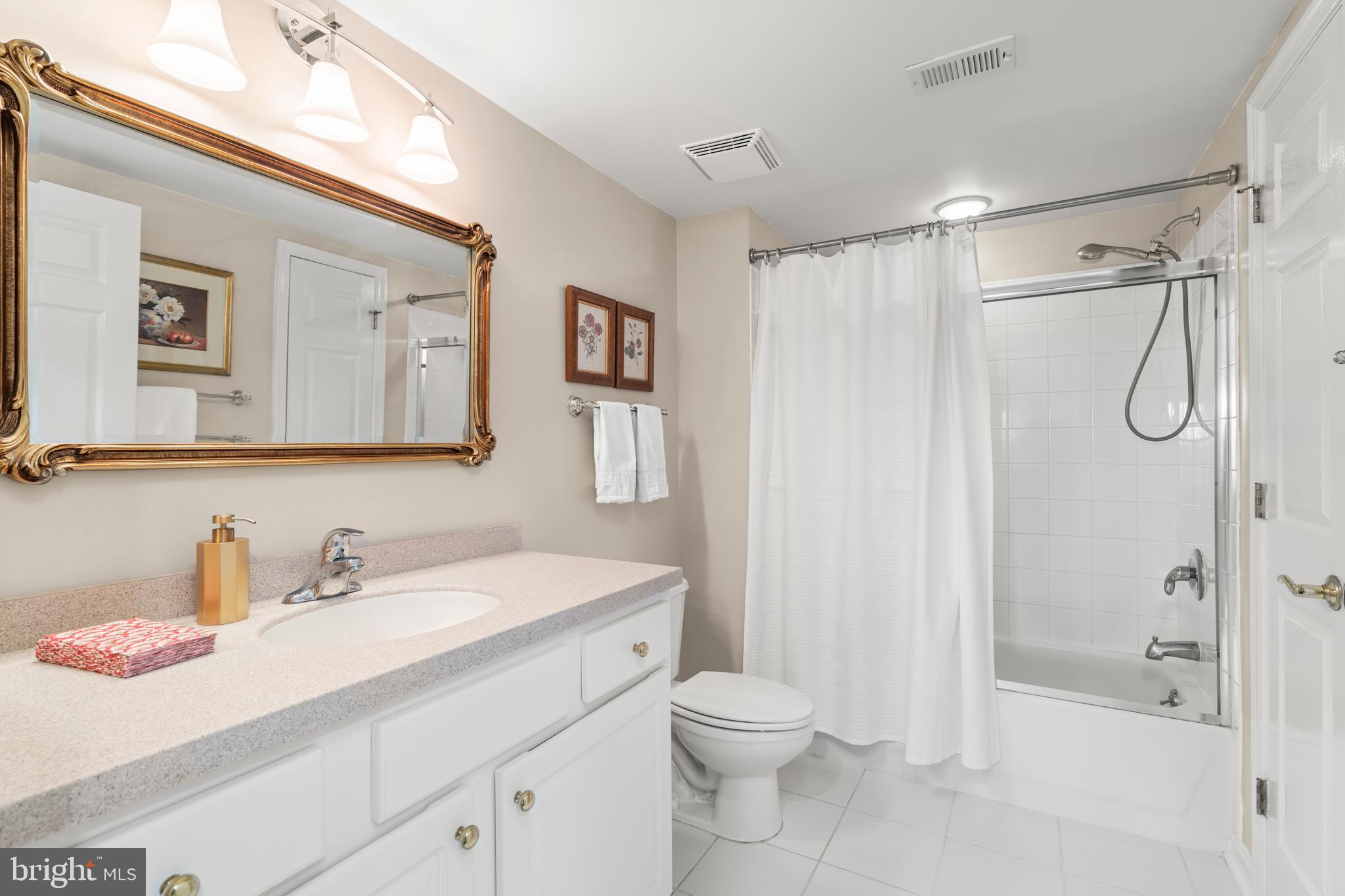 12246 Roundwood Road, Unit 507 Lutherville-Timonium, MD 21093 - Photo 39 of 58 Beautiful Hall Bath-LG Upgraded Vanity with Storag