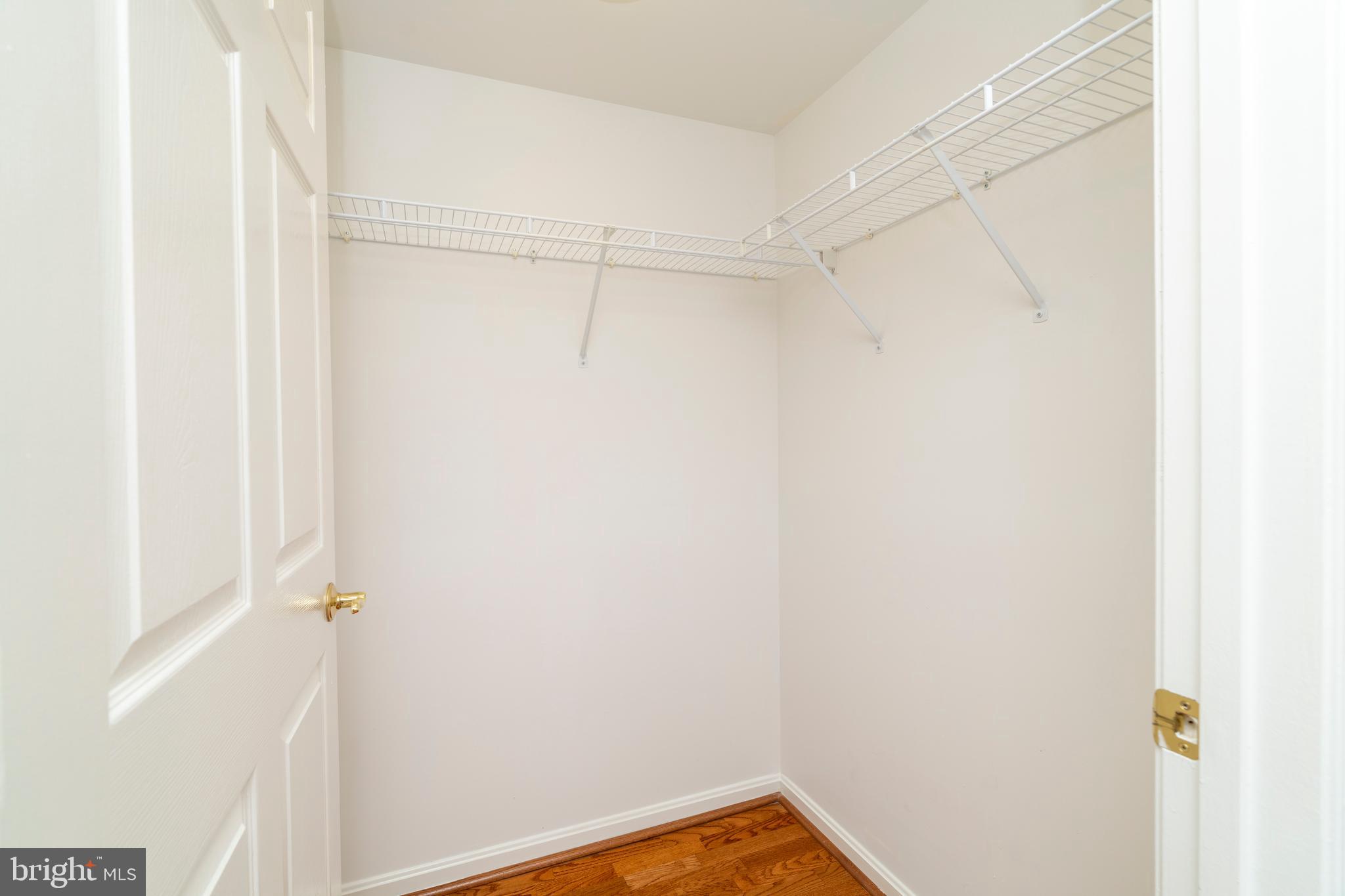 12246 Roundwood Road, Unit 507 Lutherville-Timonium, MD 21093 - Photo 41 of 58 Extra Walk-in Hall Storage Closed