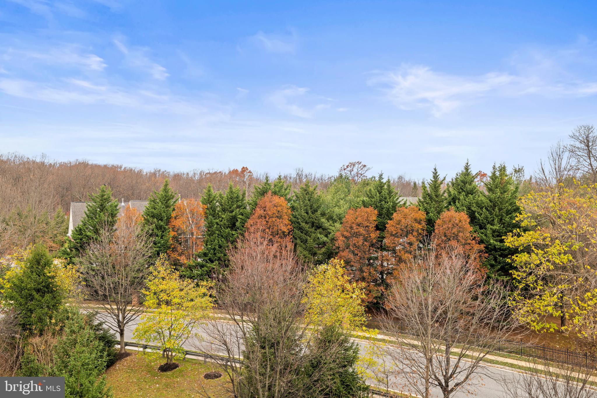 12246 Roundwood Road, Unit 507 Lutherville-Timonium, MD 21093 - Photo 47 of 58 The View from the Balcony