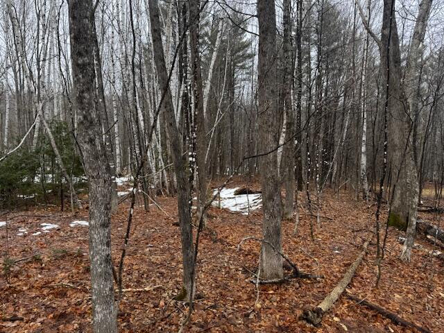 M13-l23-b Greenleaf Road Anson, ME 04911 - Photo 6 of 6 IMG_2177