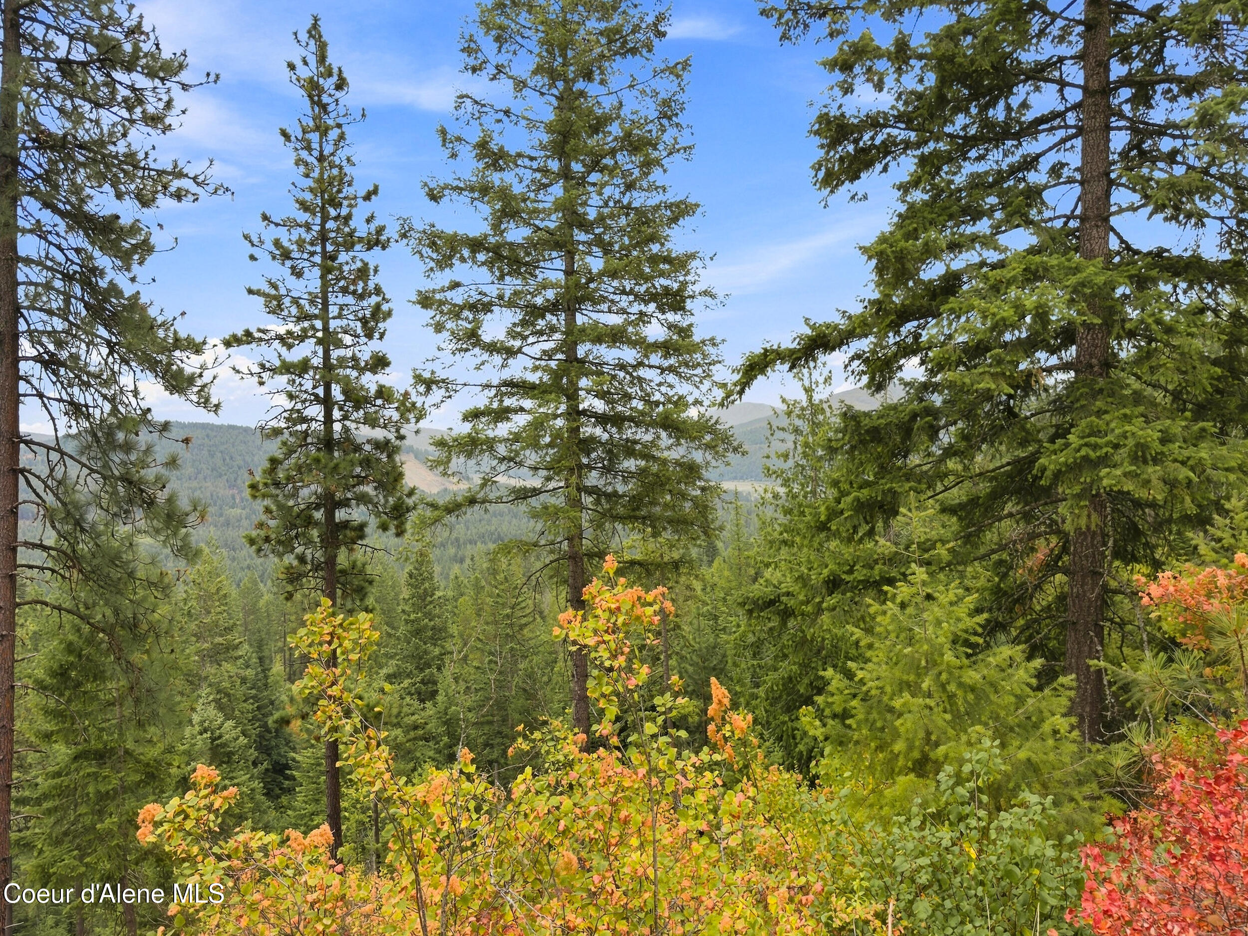 Nka Carr Creek Road Sandpoint, ID 83864 - Photo 30 of 34 28_carrcreek_023