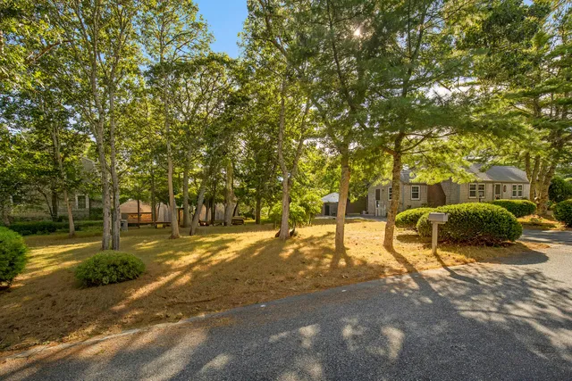 a view of yard with tree