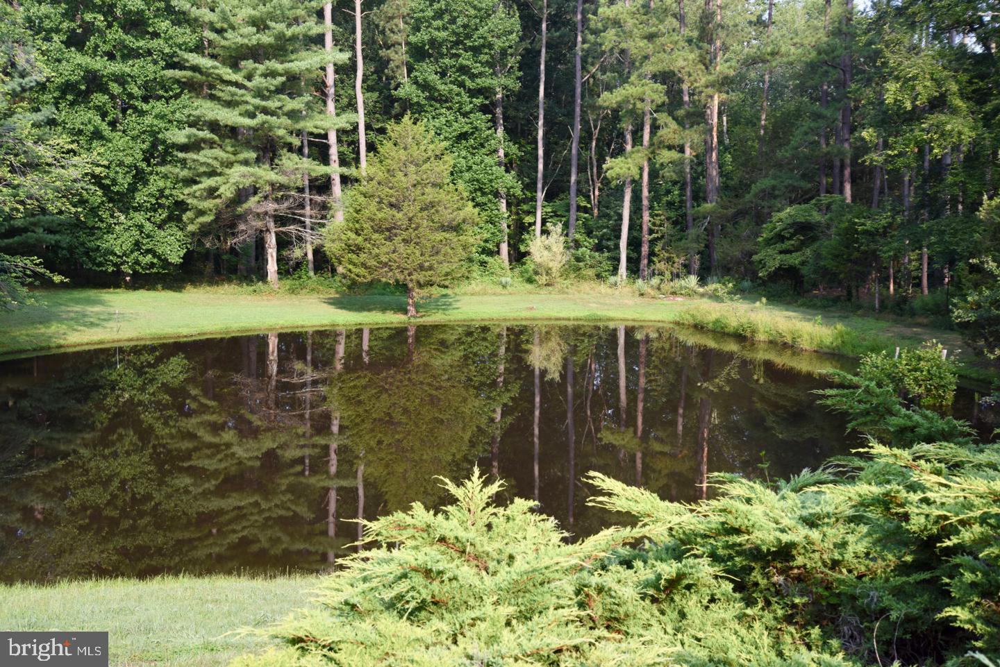 15 Laurel Mills Road Castleton, VA 22716 - Photo 21 of 28 Pond from Deck
