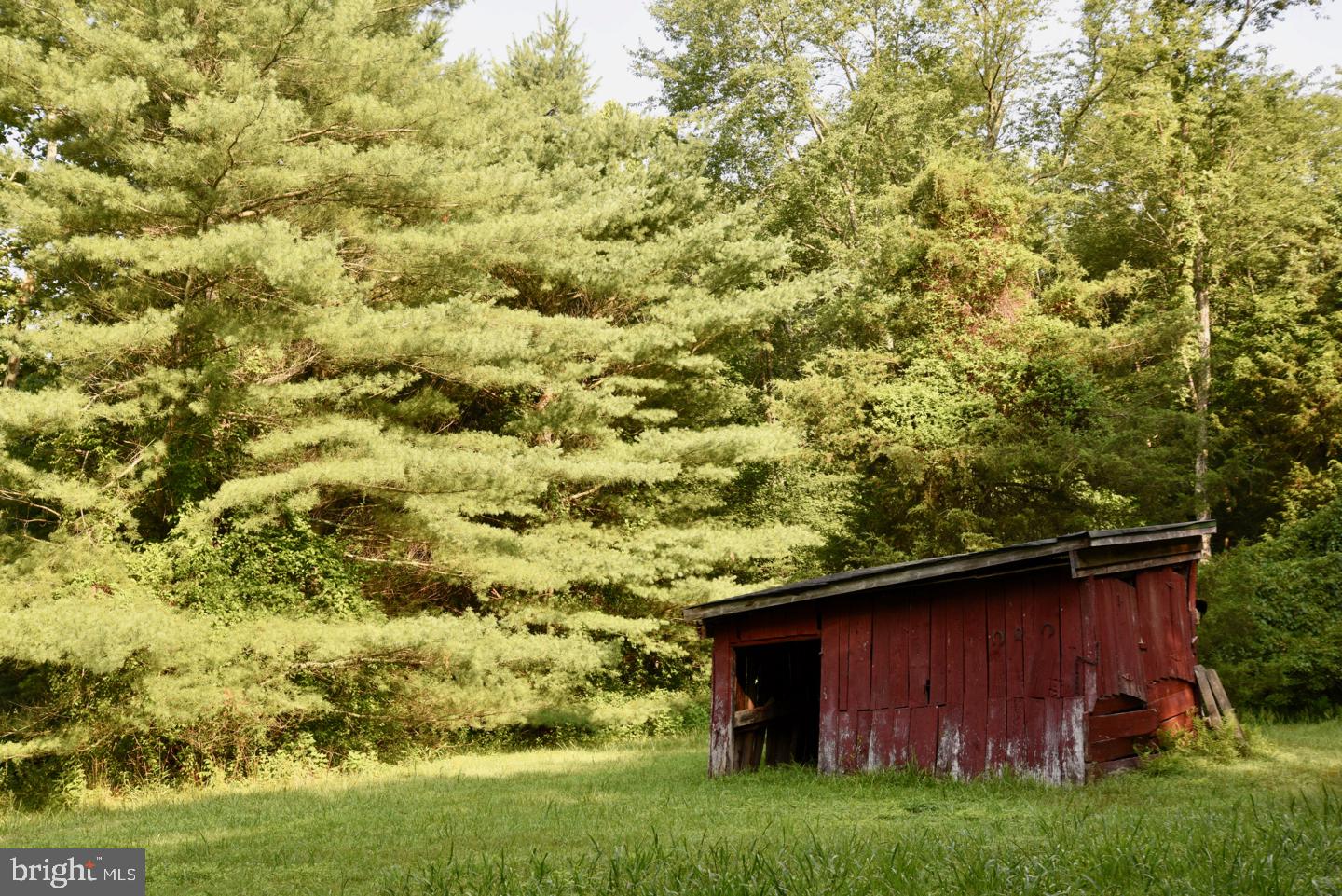 15 Laurel Mills Road Castleton, VA 22716 - Photo 25 of 28 Old Mule Shed