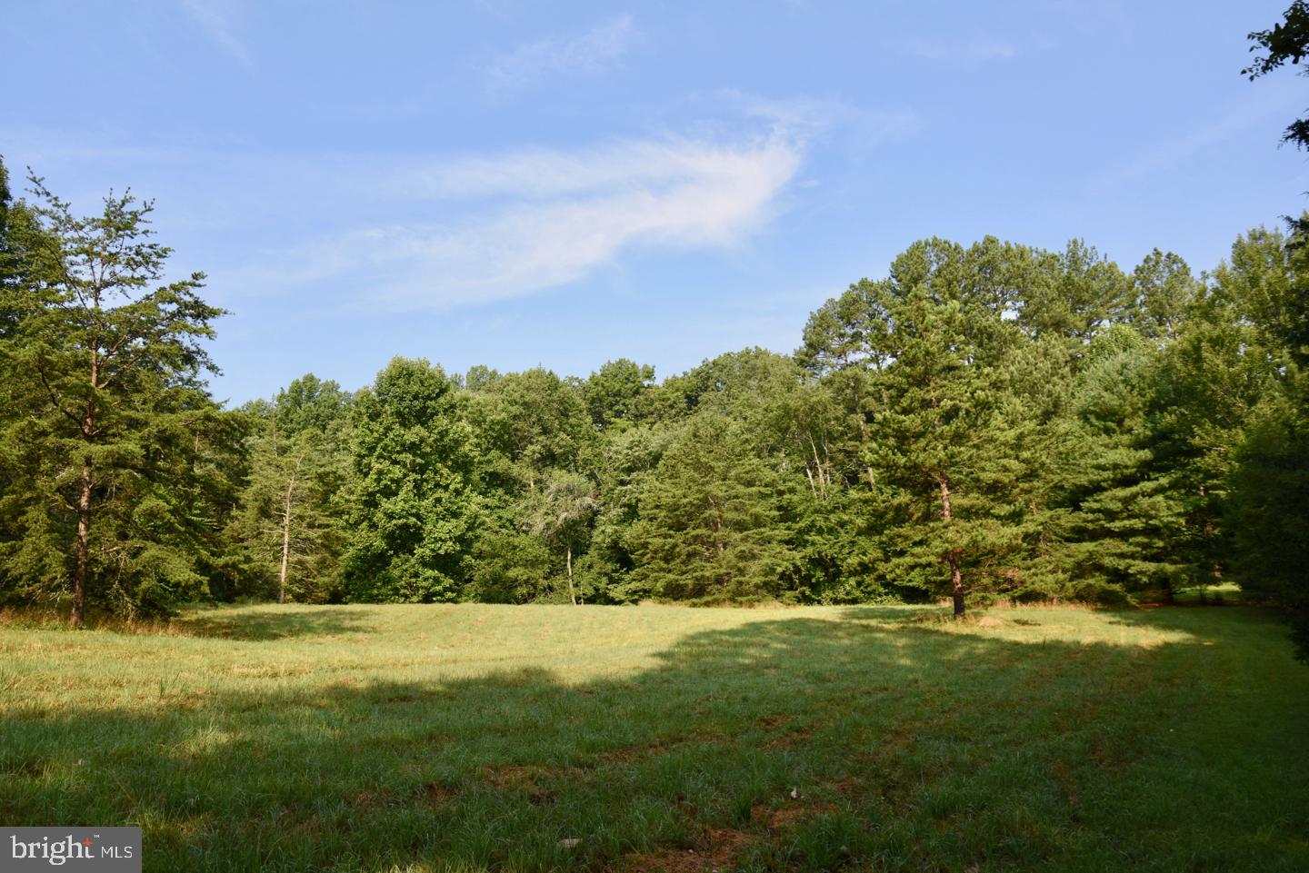 15 Laurel Mills Road Castleton, VA 22716 - Photo 26 of 28 South Meadow
