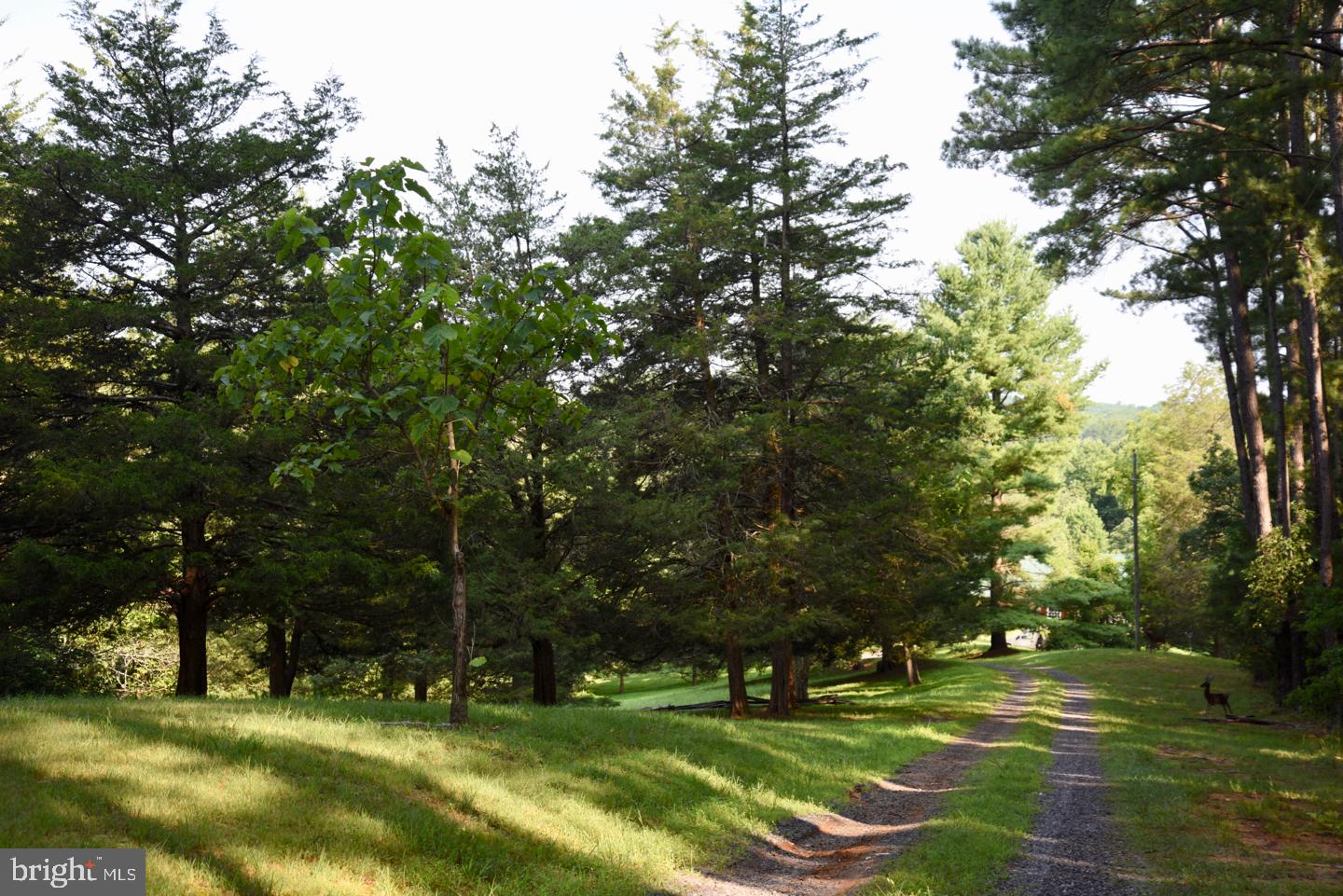 15 Laurel Mills Road Castleton, VA 22716 - Photo 27 of 28 Driveway