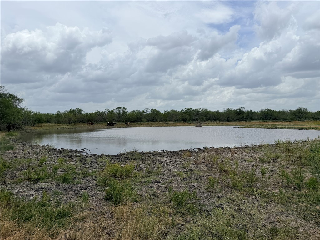 242 Cinco Millas Road Jourdanton, TX 78026 - Photo 26 of 35 Gallery Image 26