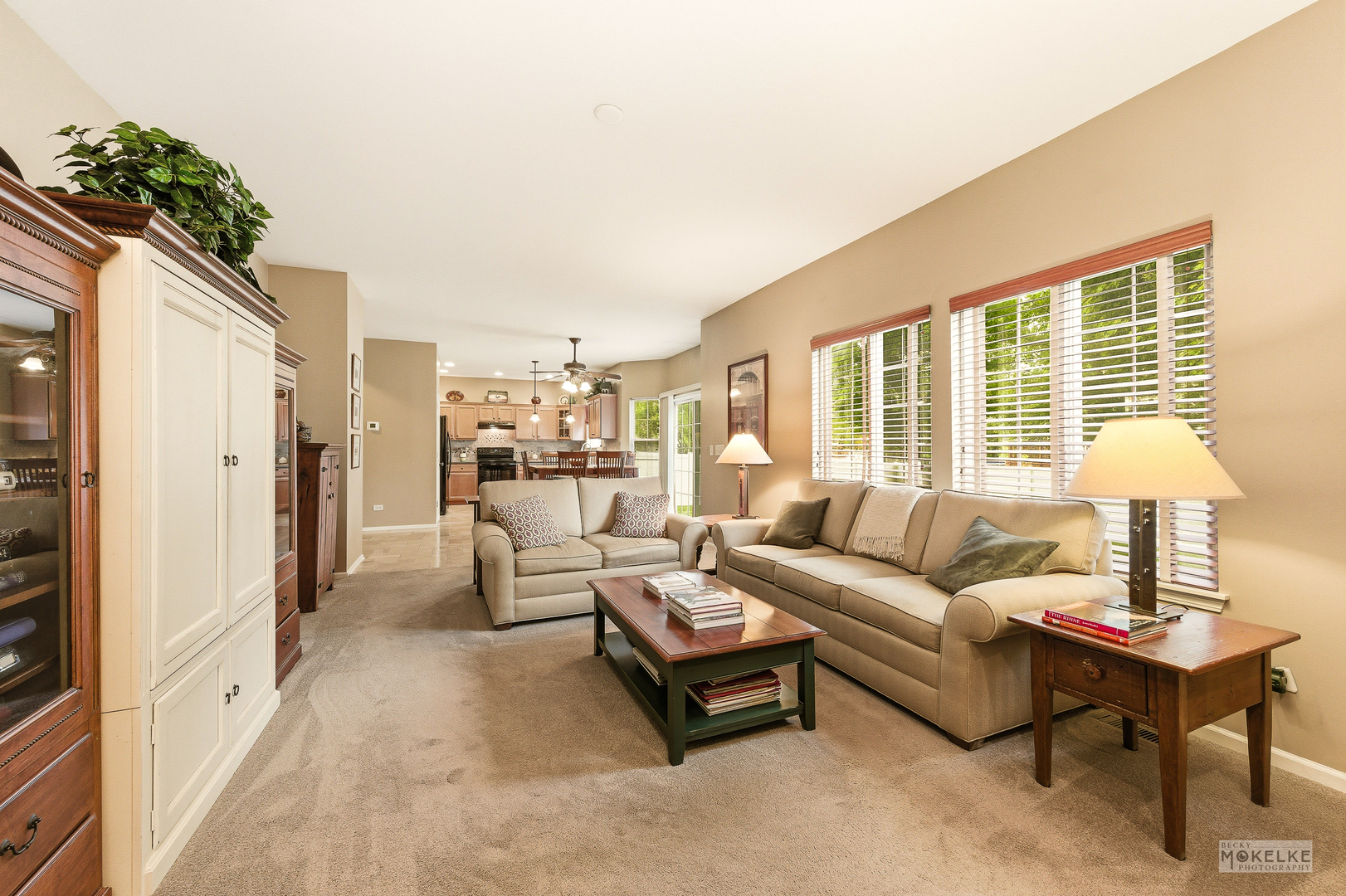 6102 Pheasant Ridge Drive Plainfield, IL 60586 - Photo 24 of 43