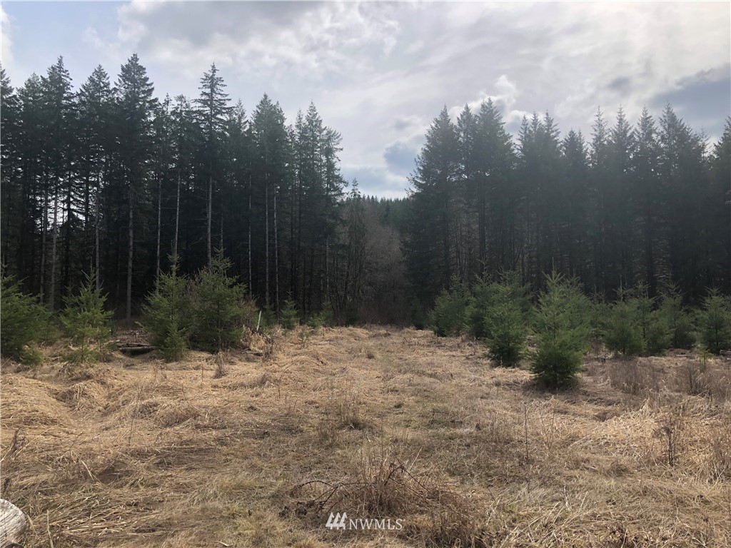 7-xx Lucas Creek Road Chehalis, WA 98532 - Photo 1 of 6