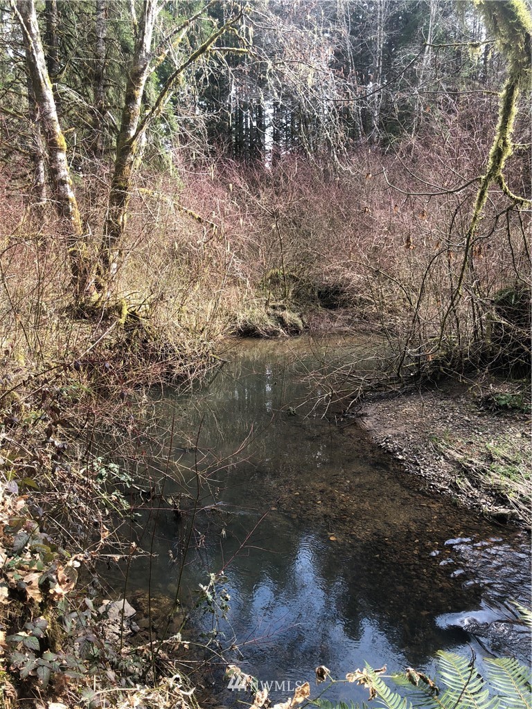 7-xx Lucas Creek Road Chehalis, WA 98532 - Photo 4 of 6