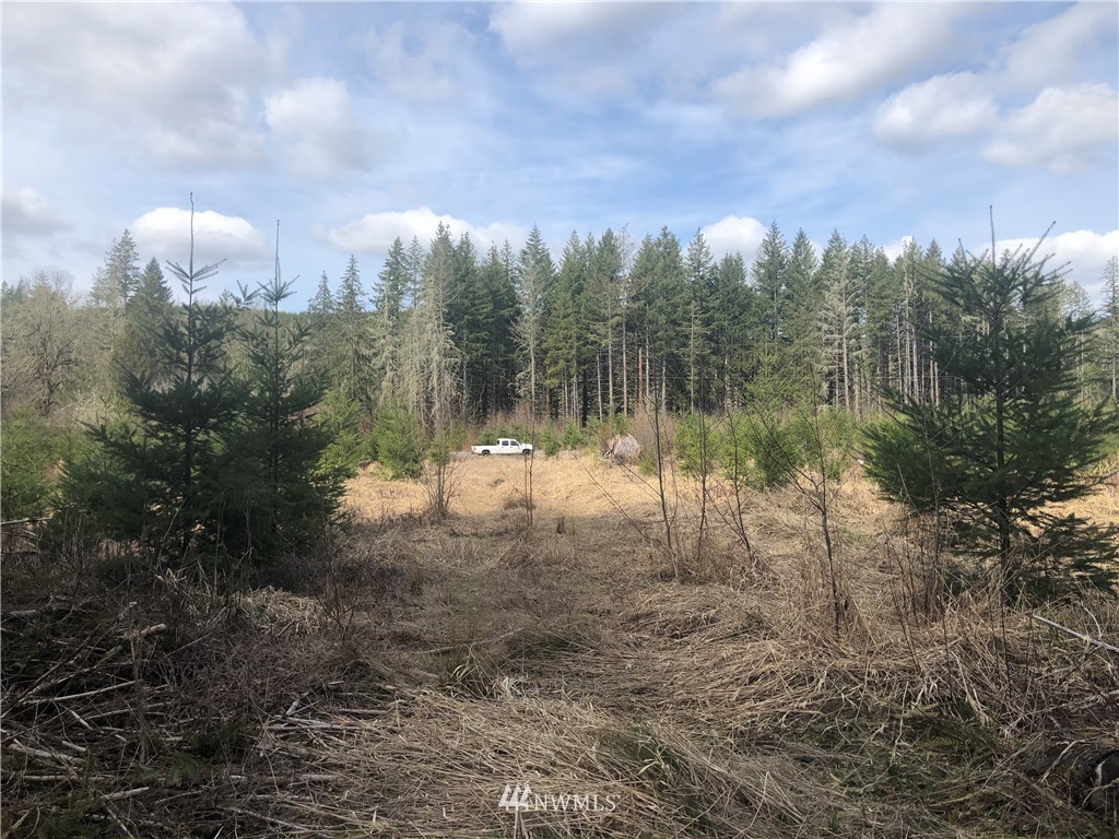 7-xx Lucas Creek Road Chehalis, WA 98532 - Photo 5 of 6