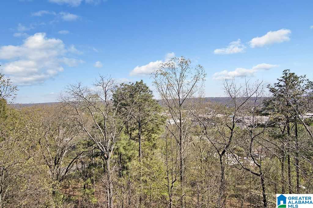 3063 Eagle Ridge Lane Birmingham, AL 35242 - Photo 39 of 42