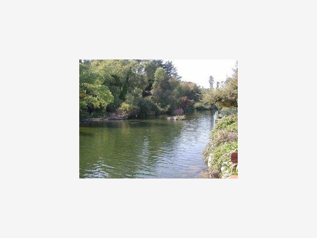 421 Riverview Avenue Capitola, CA 95010 - Photo 5 of 9