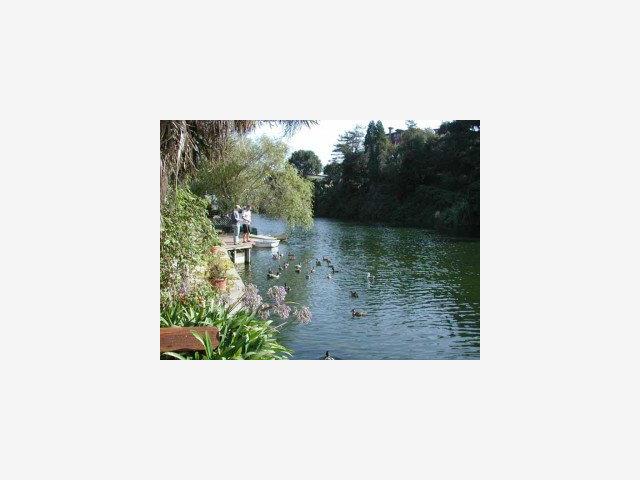 421 Riverview Avenue Capitola, CA 95010 - Photo 6 of 9