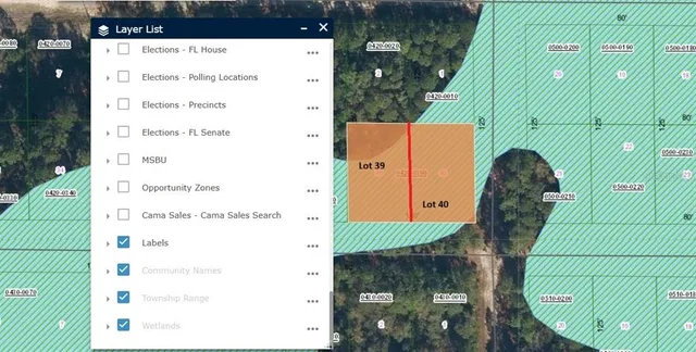 $8,900 | 336 Gardenia Avenue, Georgetown, FL 32139