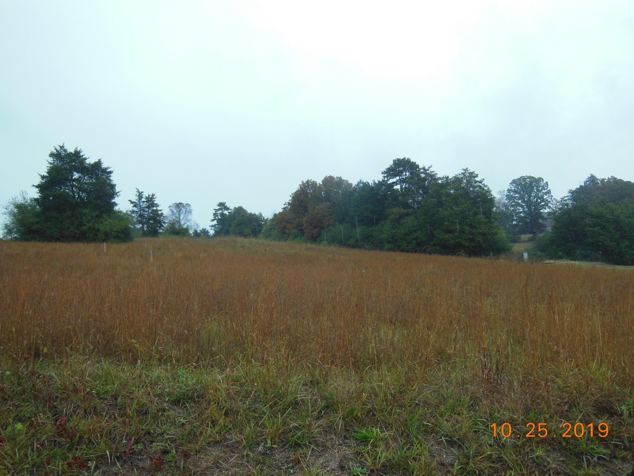 0 Co Road Athens, TN 37303 - Photo 2 of 4