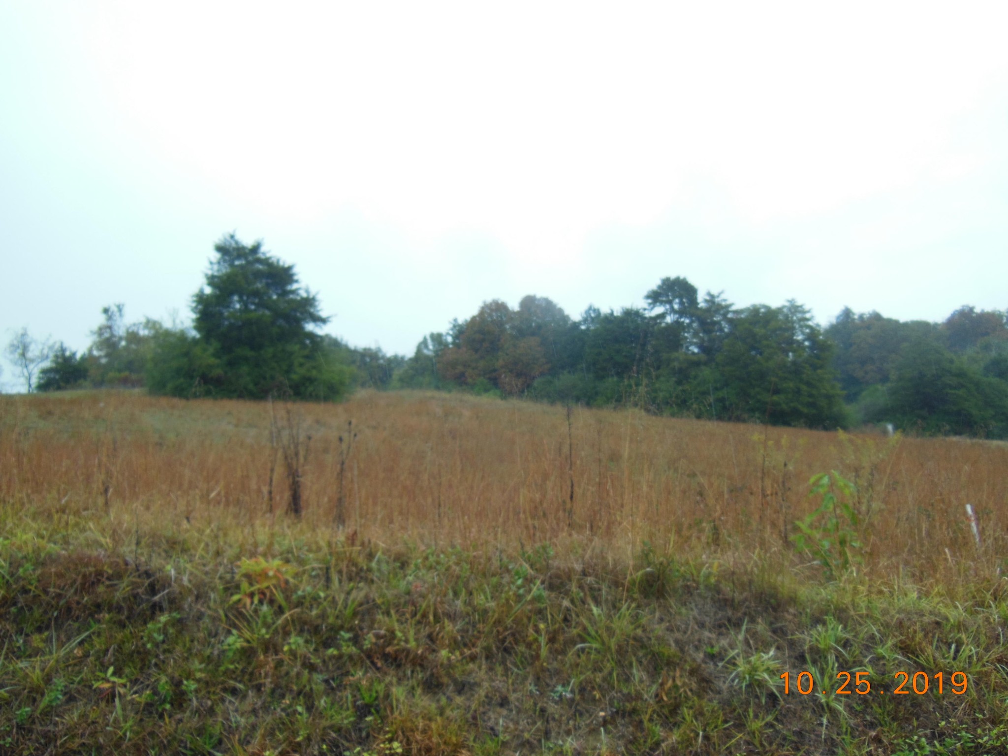0 Co Road Athens, TN 37303 - Photo 3 of 4