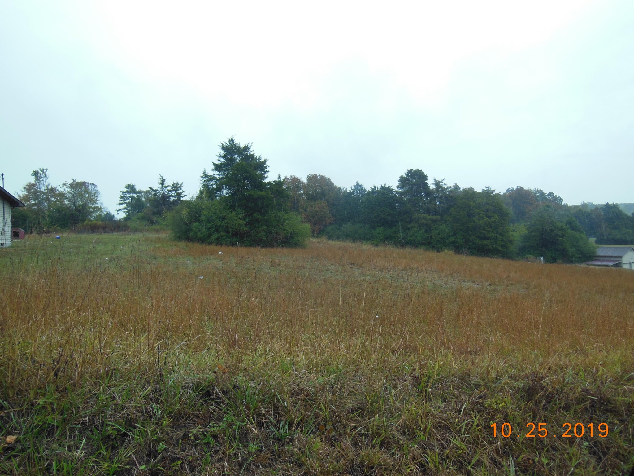0 Co Road Athens, TN 37303 - Photo 4 of 4
