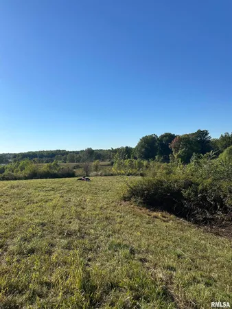 $49,000 | 0 Center Church Road, Villa Ridge, IL 62996